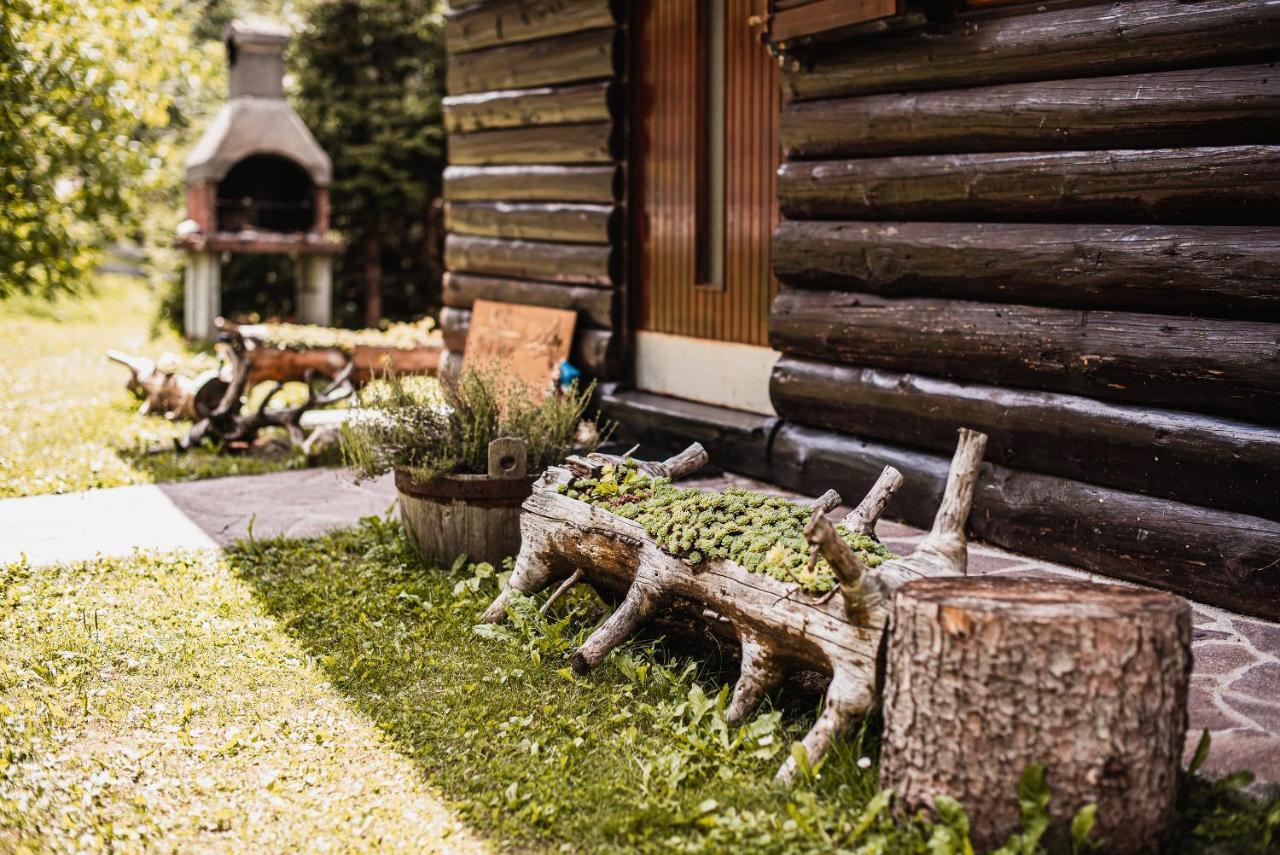 Cottage Hidden Pearl Zgornje Jezersko Exterior photo